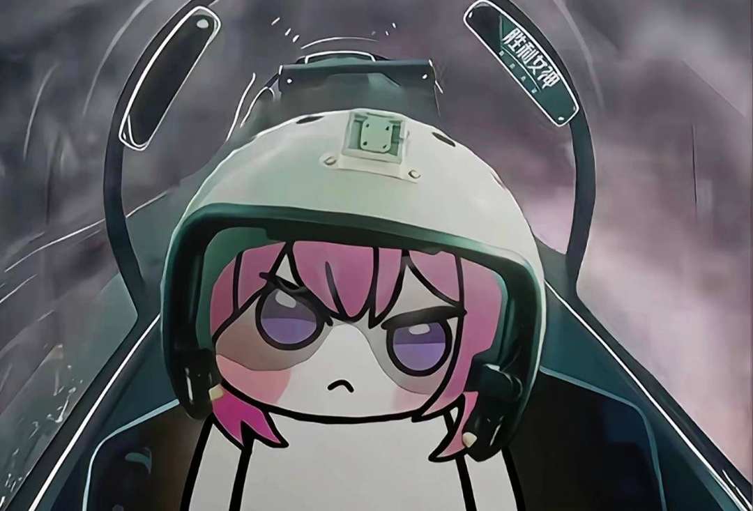 [图片]