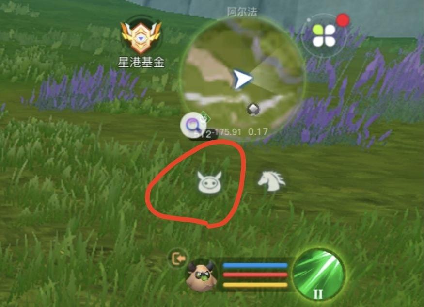 [图片]