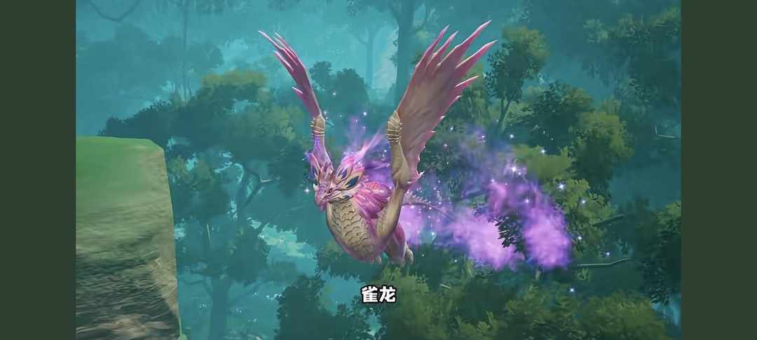 [图片]