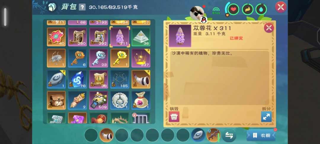 [图片]