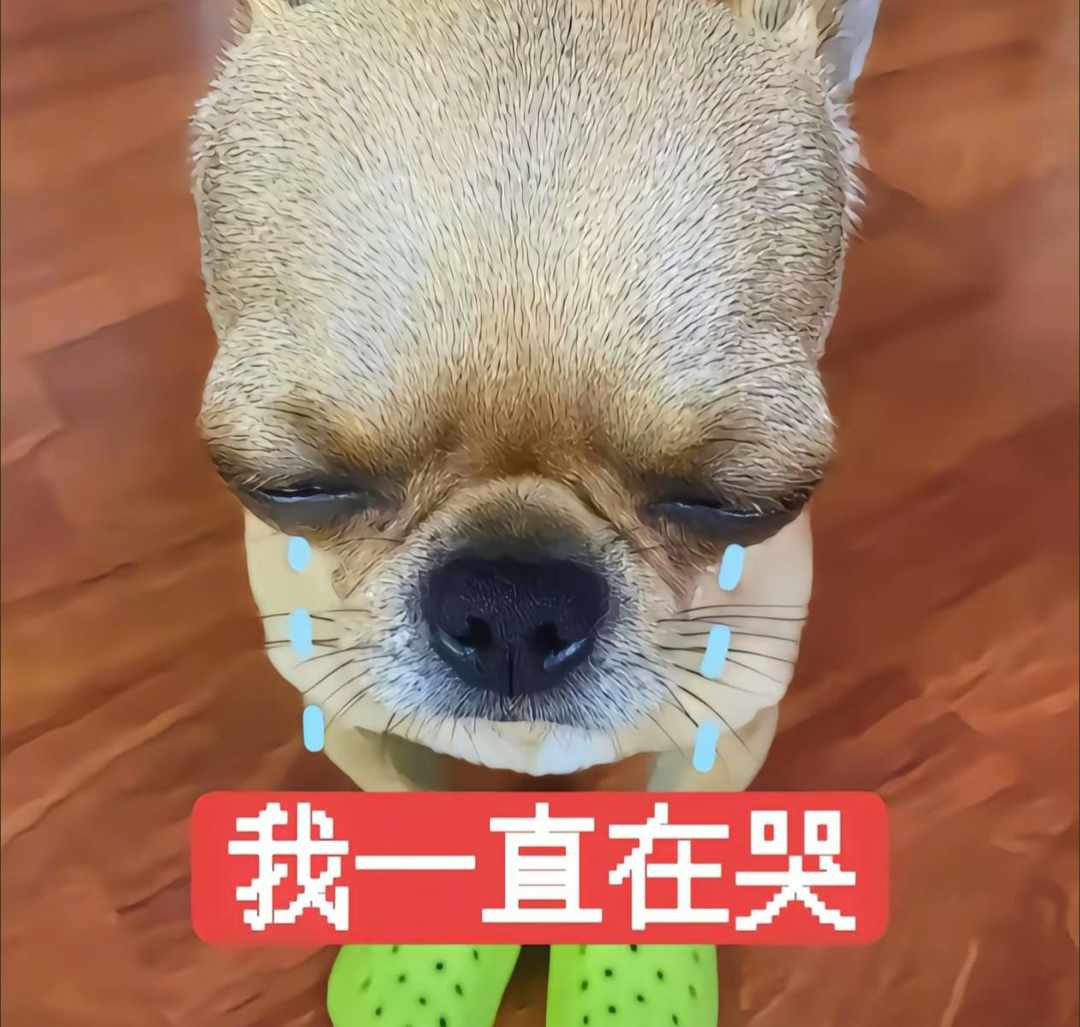 [图片]