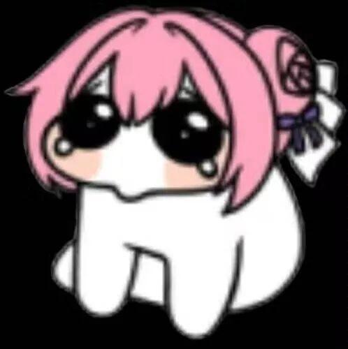[图片]