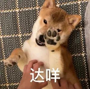 [图片]