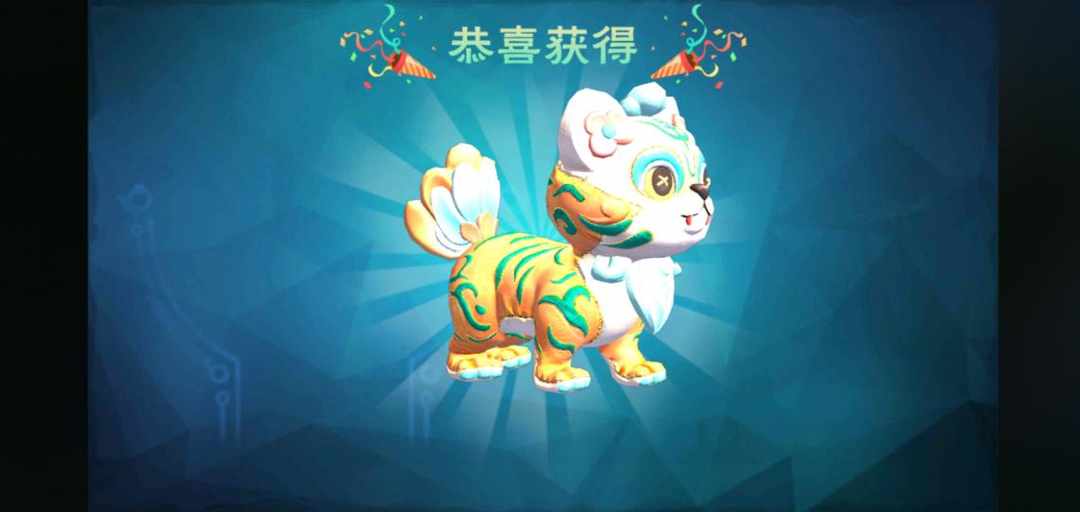 [图片]