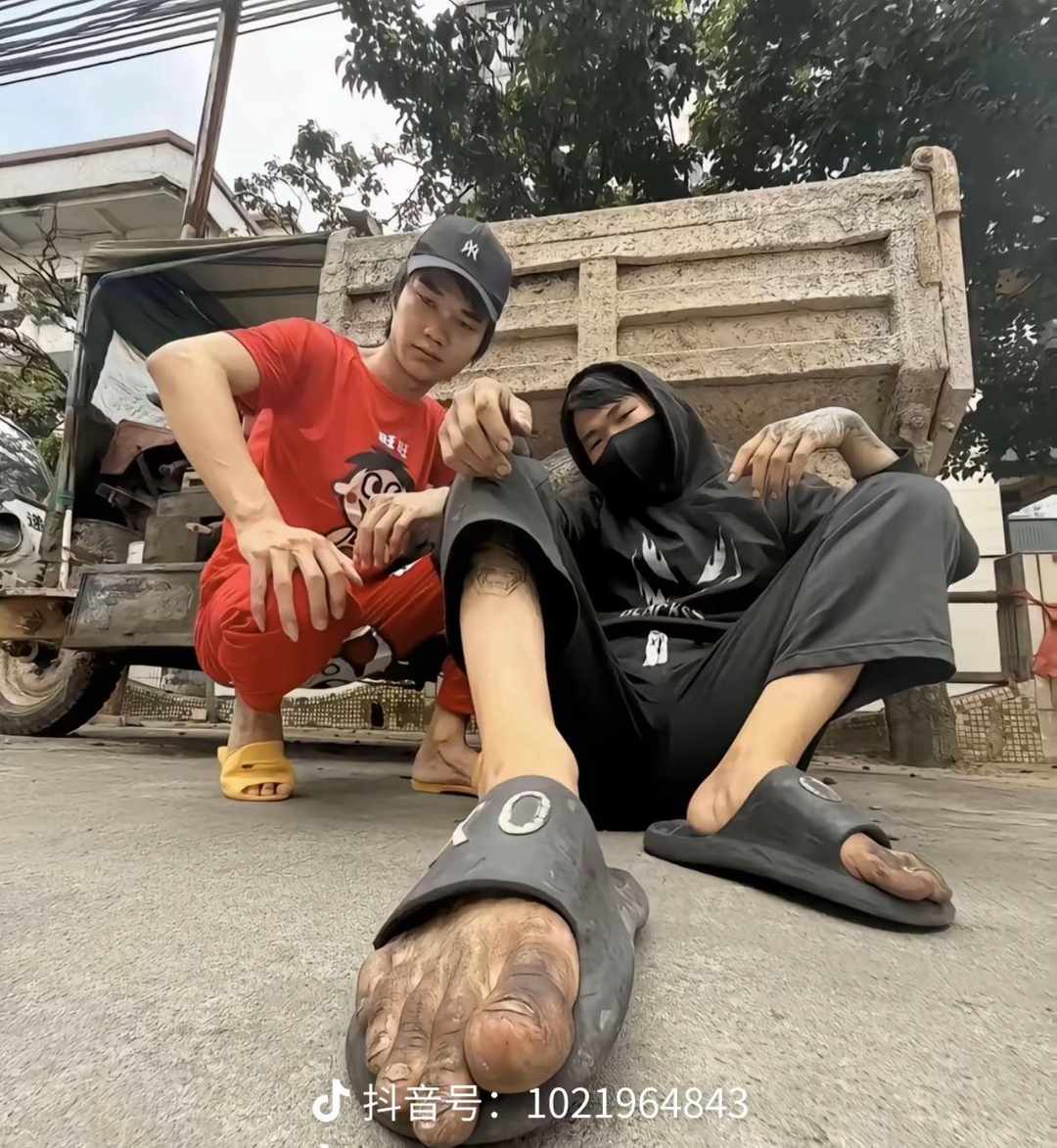 [图片]