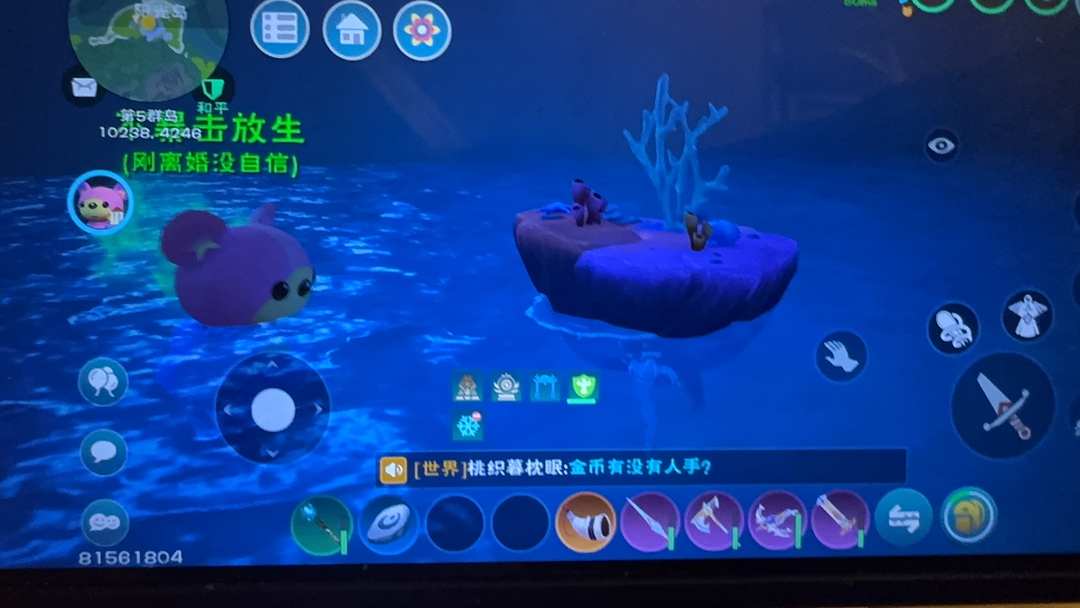 [图片]