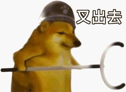 [图片]