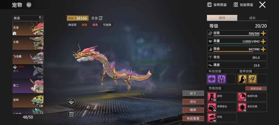 [图片]