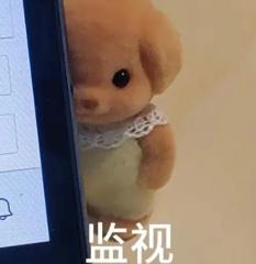 [图片]