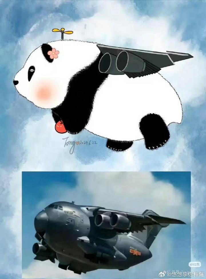 [图片]