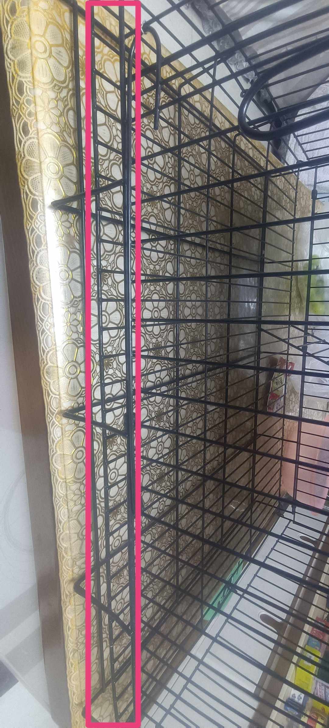 [图片]