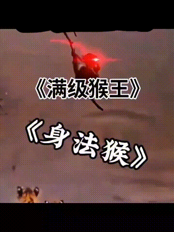 [图片]