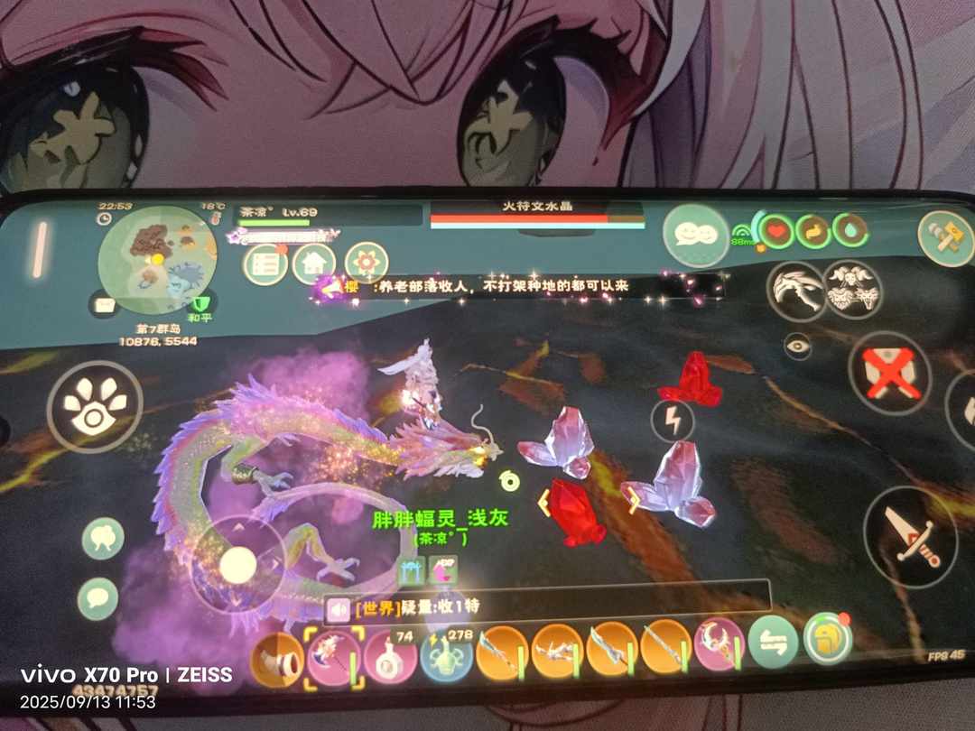 [图片]