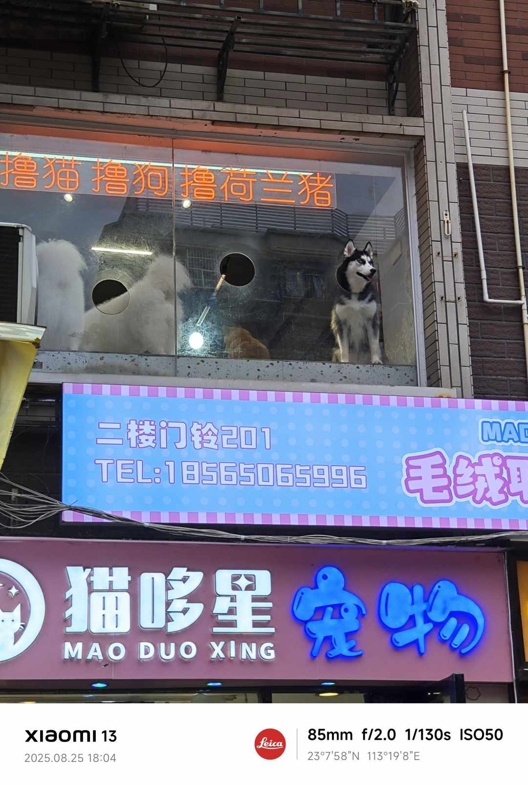 [图片]
