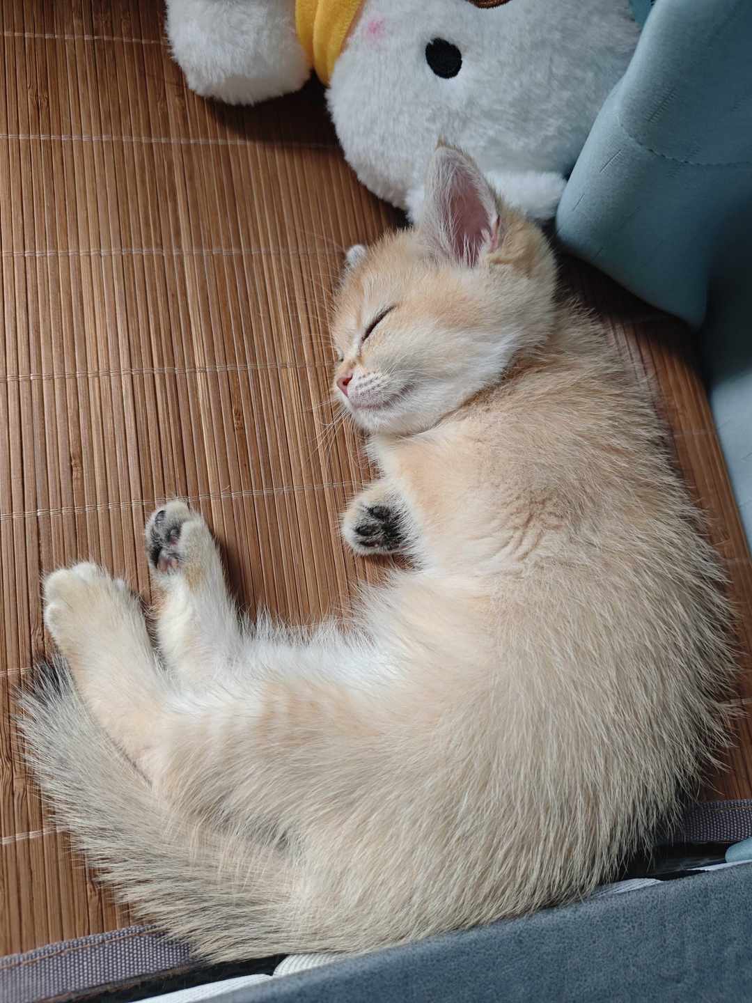 [图片]