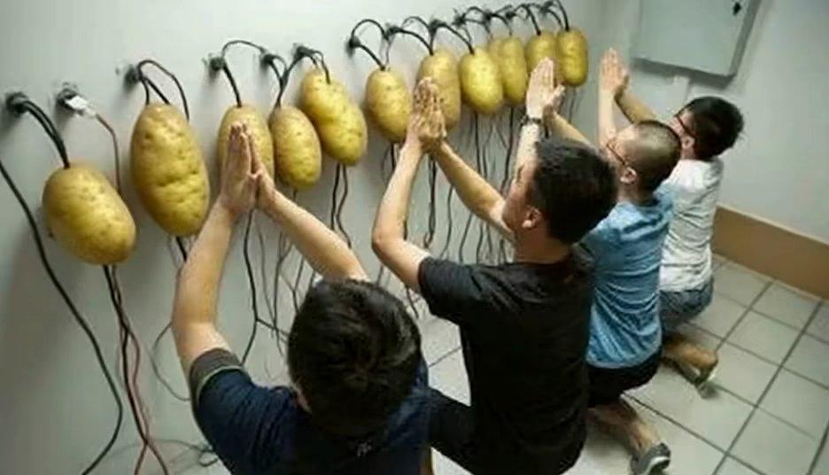 [图片]