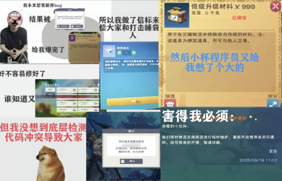 [图片]