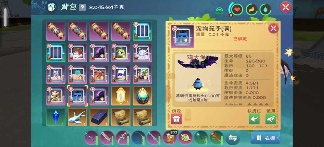 [图片]