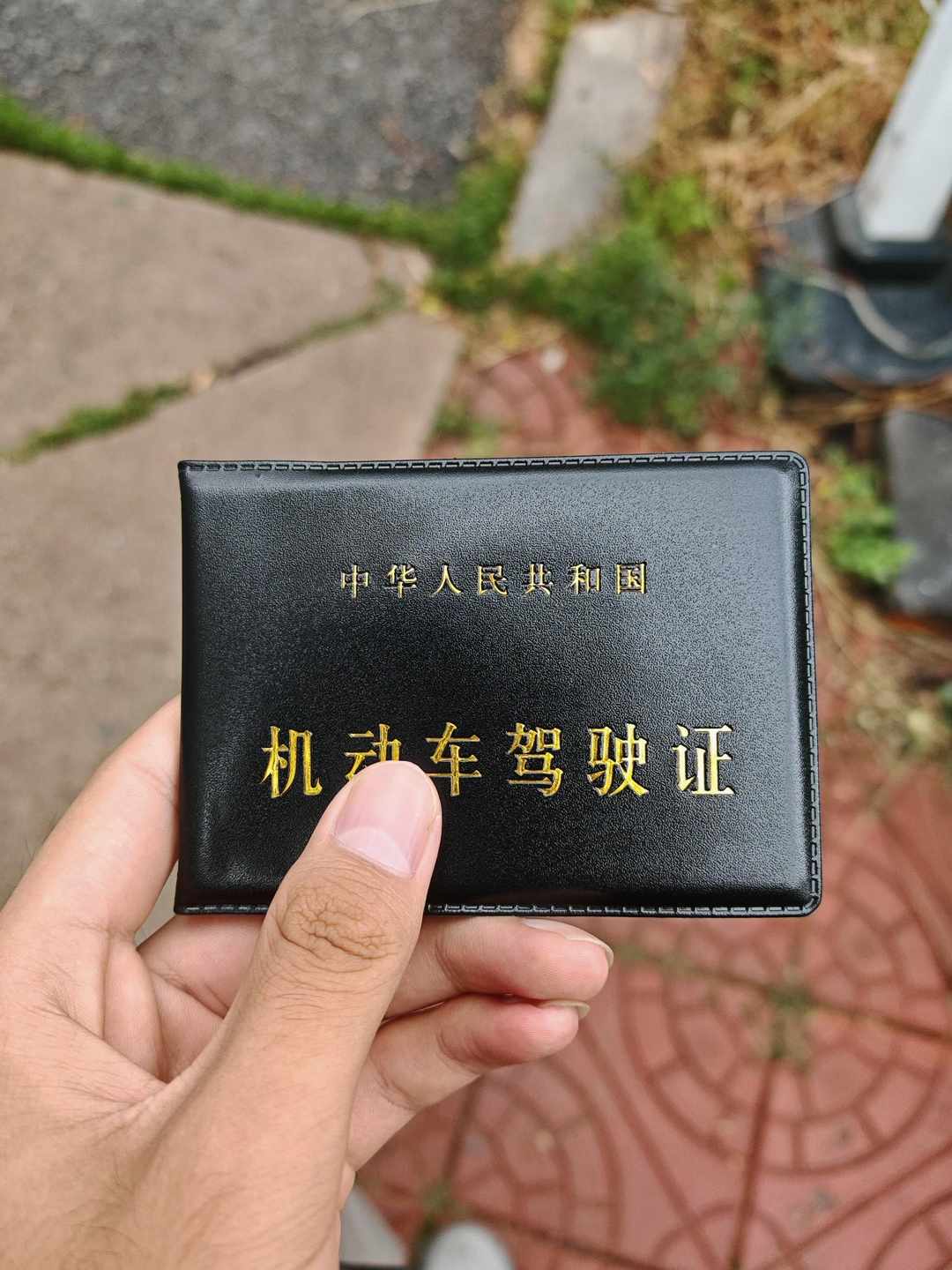 [图片]