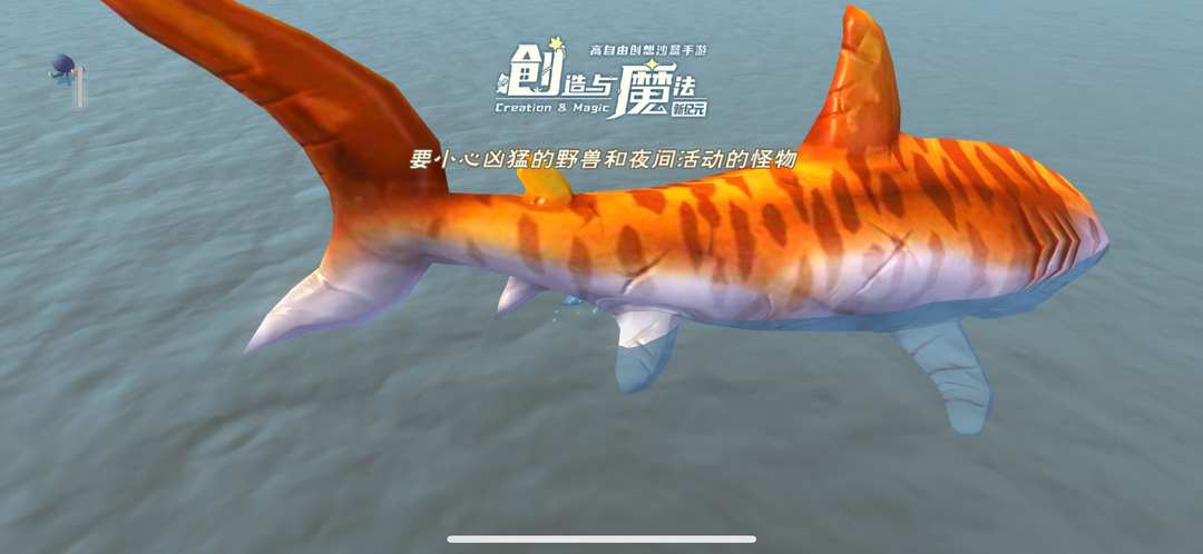 [图片]