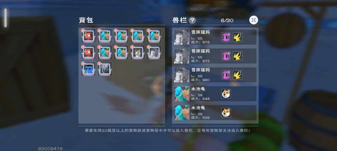 [图片]