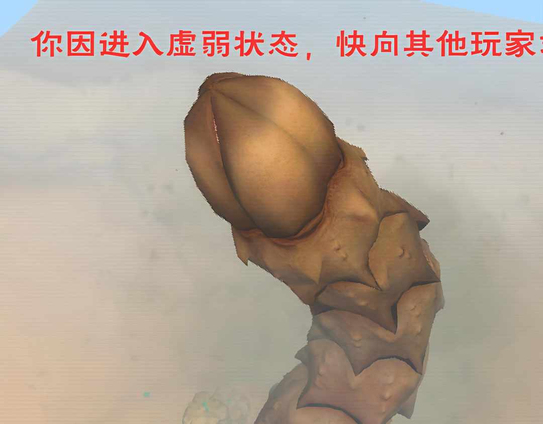 [图片]
