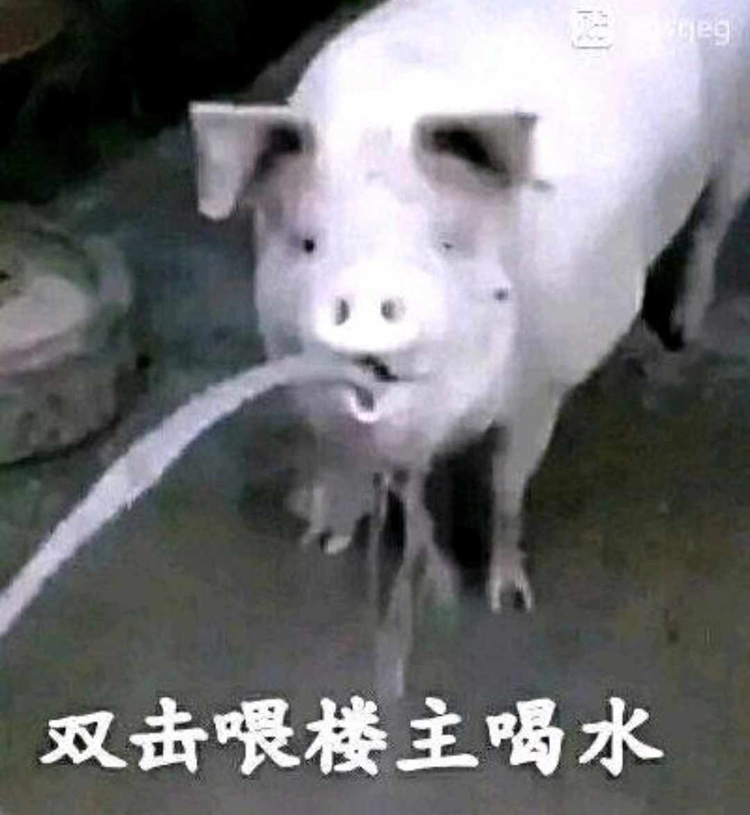 [图片]